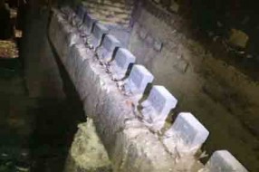 Skid Button for Heating Furnace Skid Button for Heating Furnace